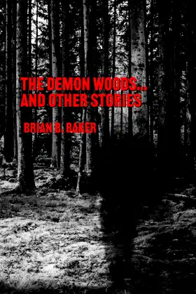 Into The Demon Woods: A Collection of Horror Stories poster