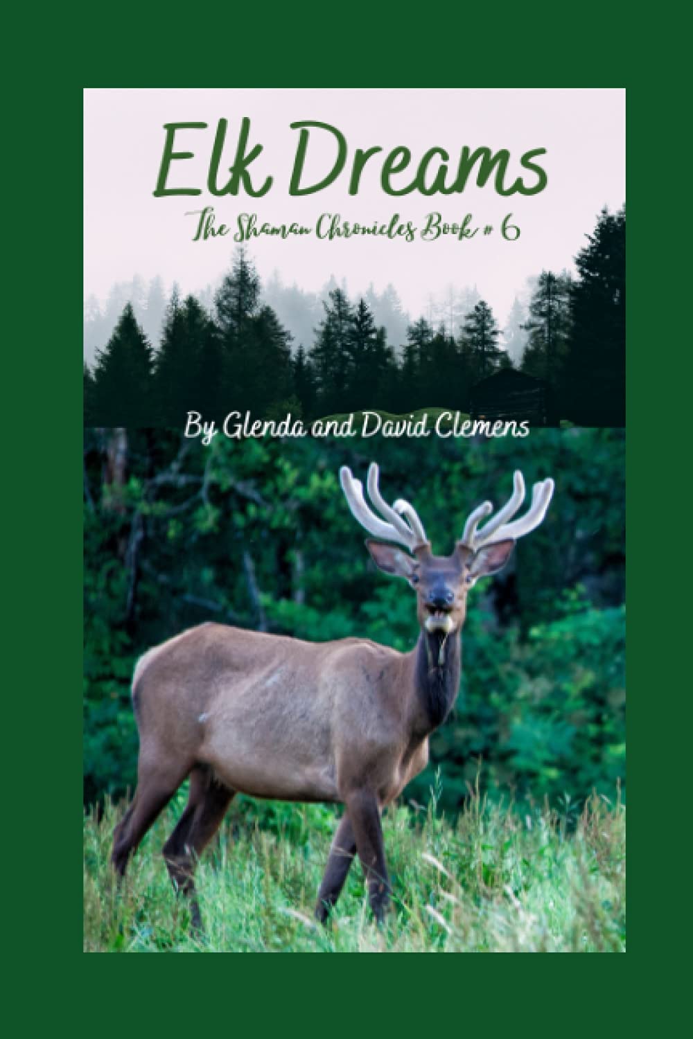Elk Dreams (The Shaman Chronicles) poster