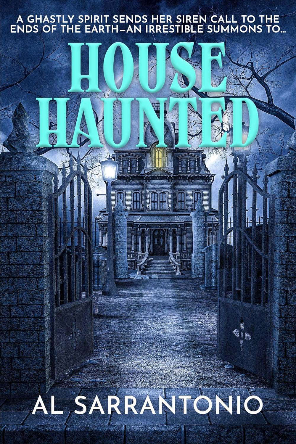 House Haunted poster