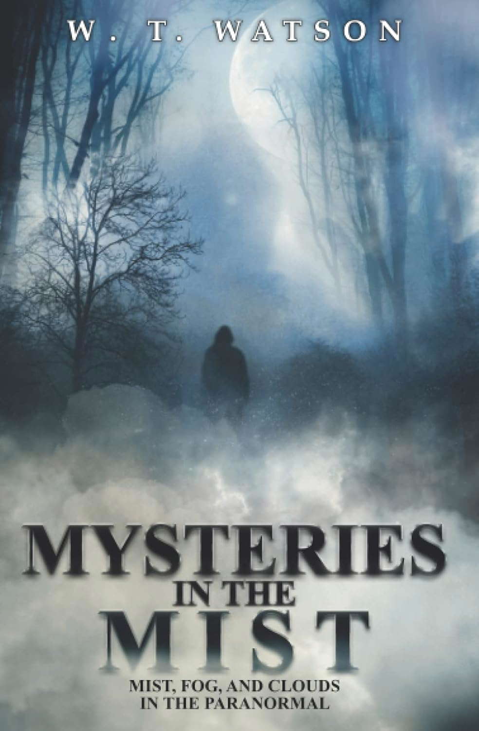 Mysteries in the Mist: Mist, Fog, and Clouds in the Paranormal poster