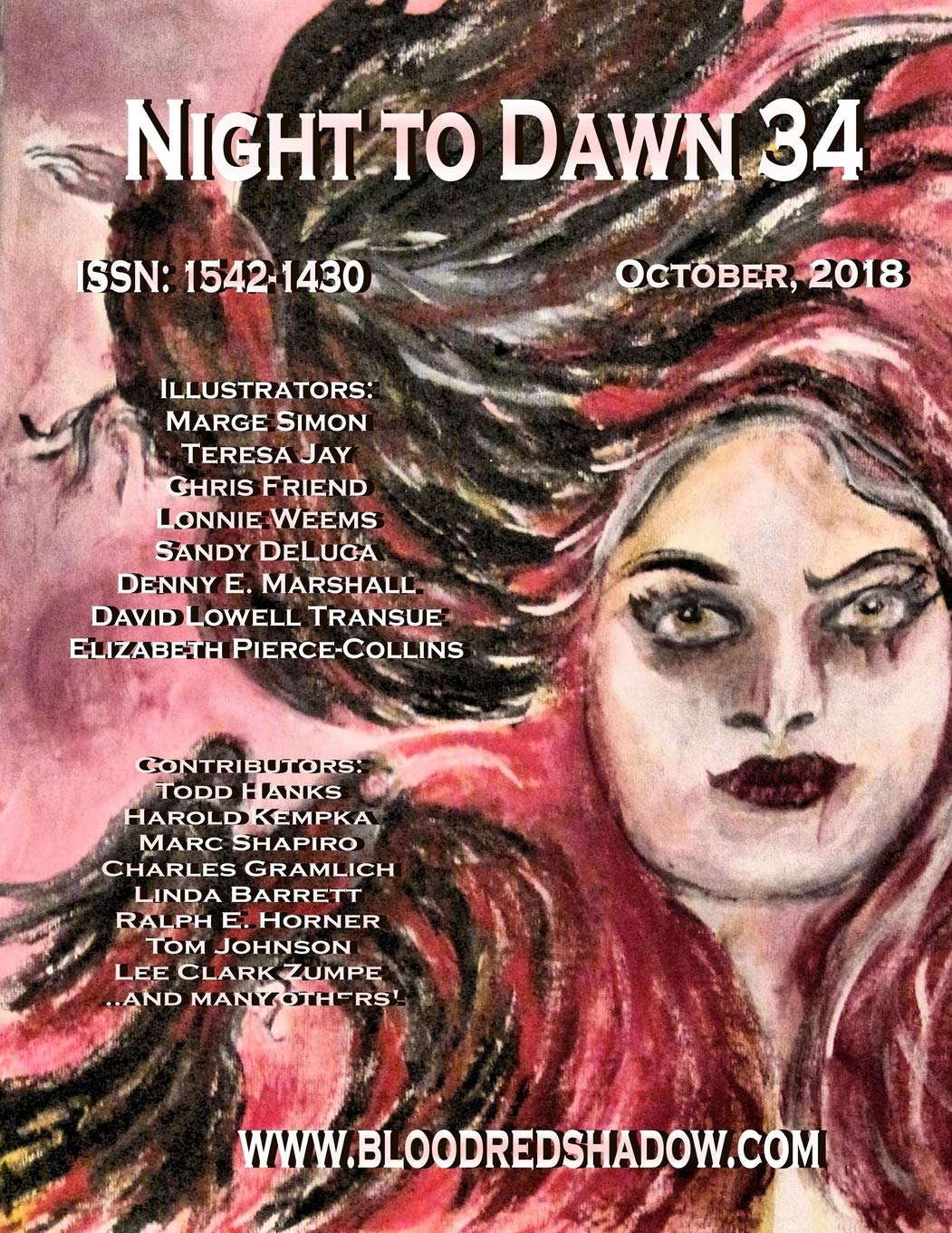 Night to Dawn 34 poster