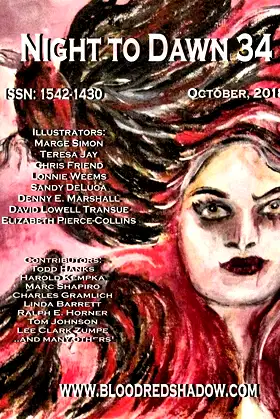 Night to Dawn 34 poster