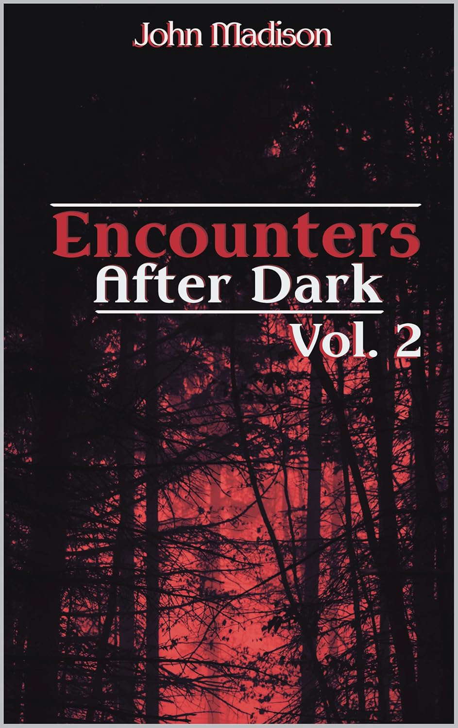 Encounters After Dark: Volume 2 poster