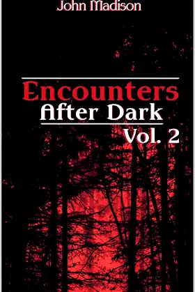 Encounters After Dark: Volume 2 poster