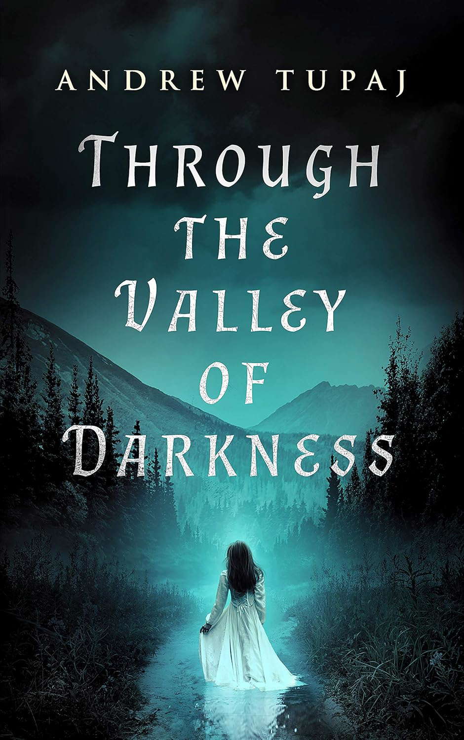 Through the Valley of Darkness poster