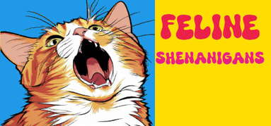 Feline Shenanigans capsule