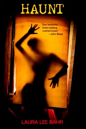 Haunt poster