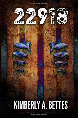 22918 poster