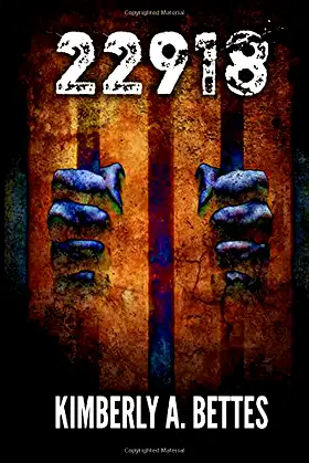 22918 poster