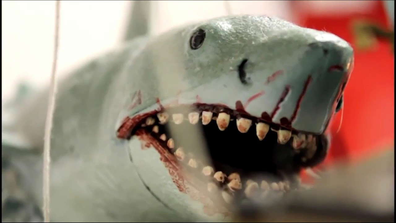 Poster for Jaws Finatics