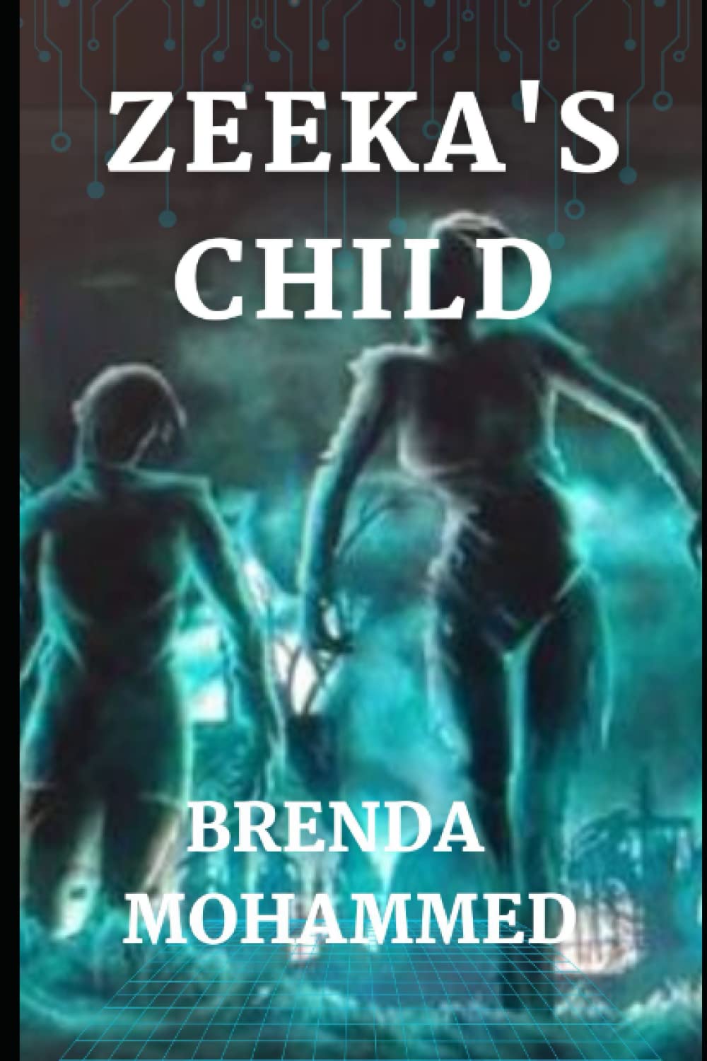 Zeeka's Child poster