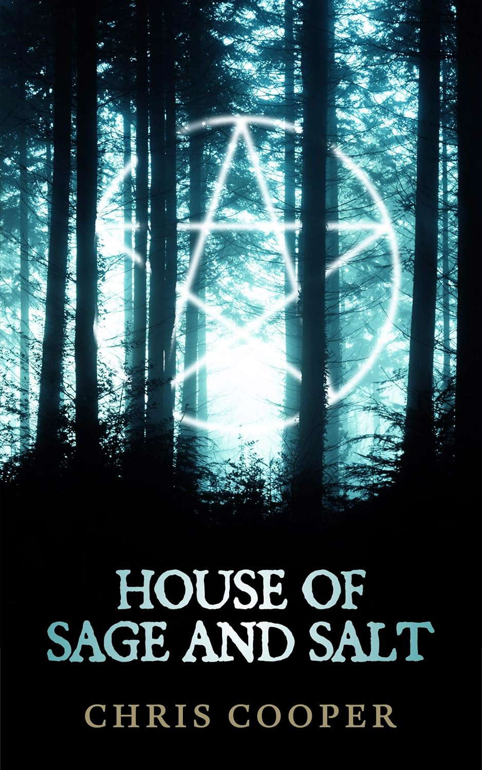 House of Sage and Salt poster
