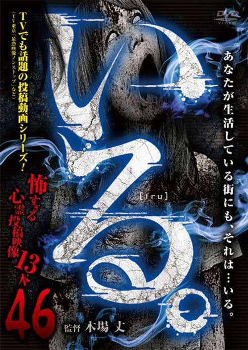 「Iru.」~ Kowasugiru Tōkō Eizō 13-hon ~ Vol.46 poster