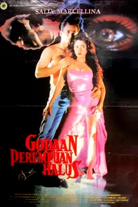 The Temptation of a Fine Woman poster