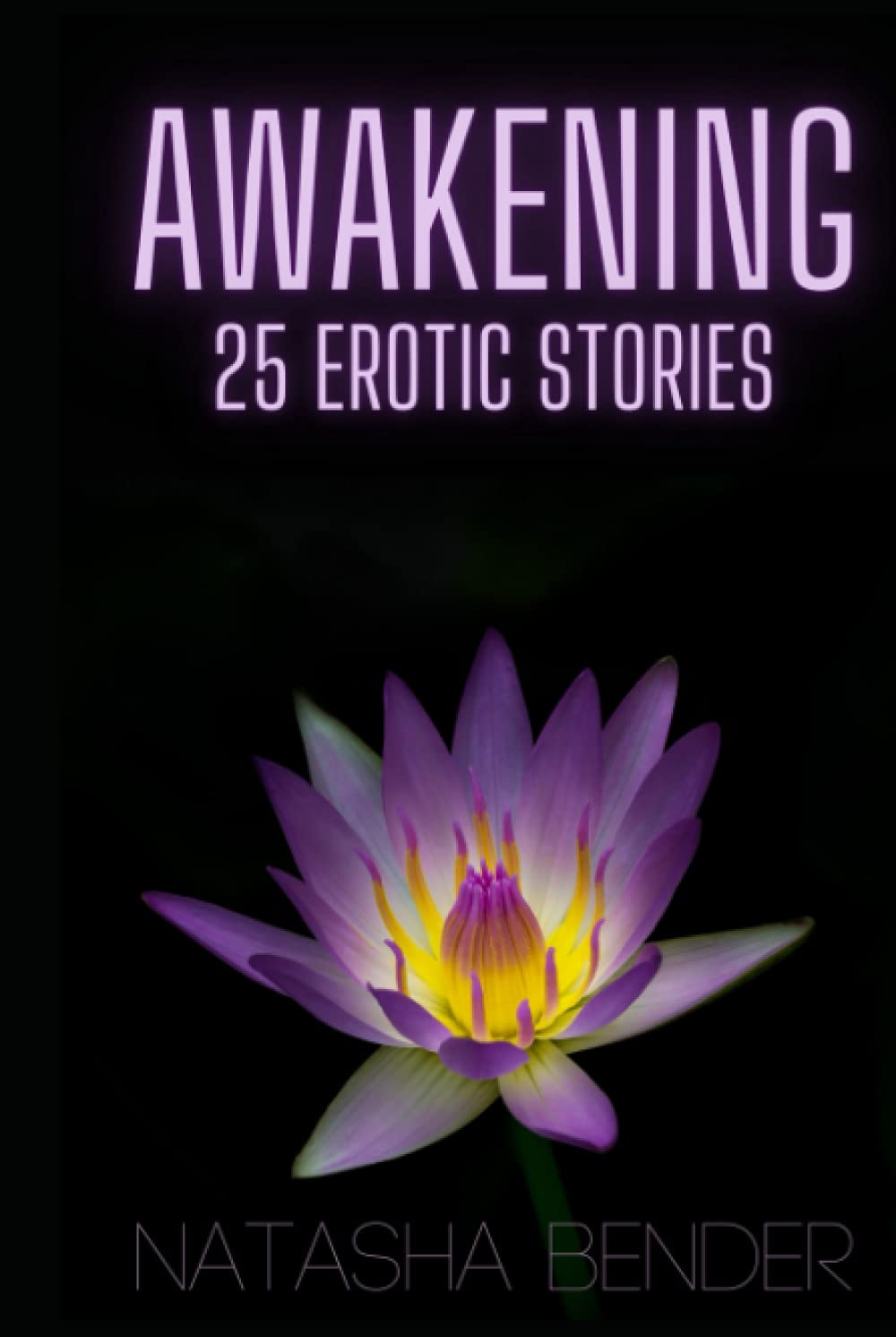 Awakening: Erotic Short Stories poster