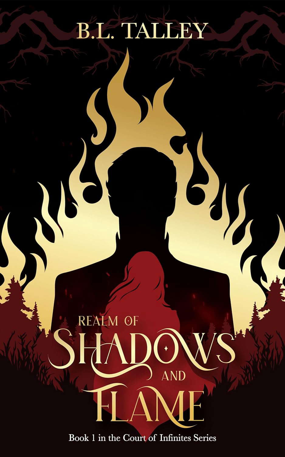 Realm of Shadows and Flame: Book 1 in the Court of Infinites Series poster