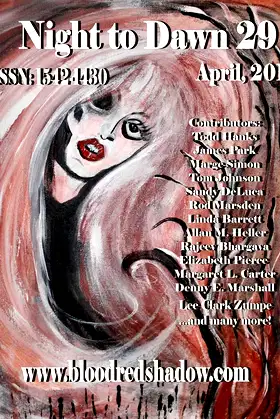 Night to Dawn 29 poster