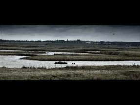 The Hide movie trailer poster