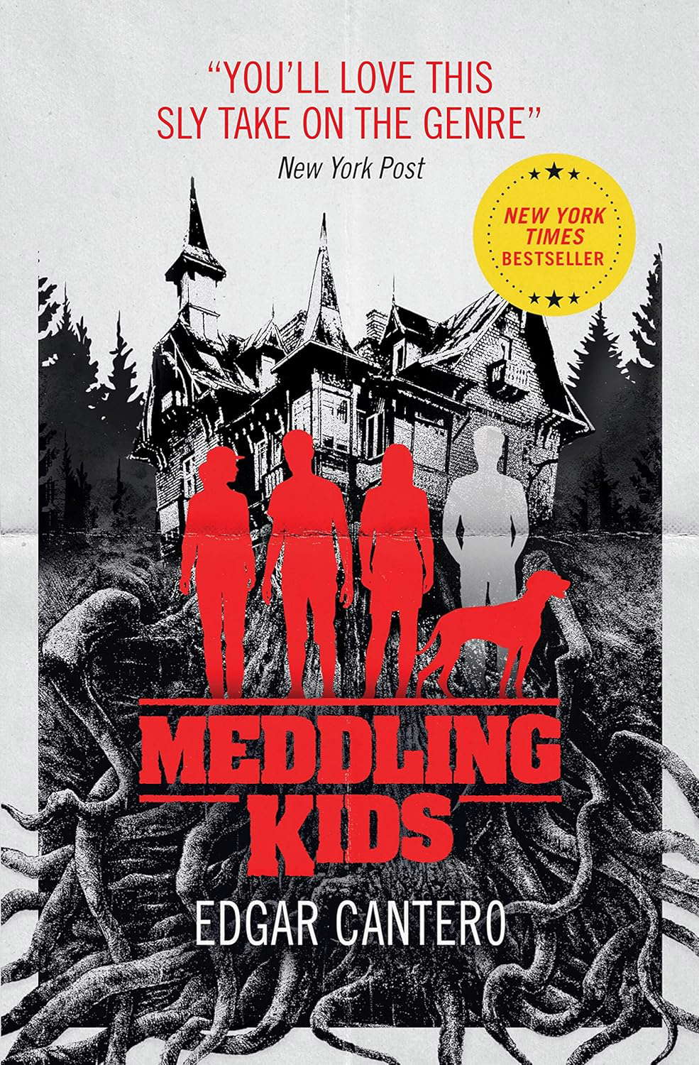 Meddling Kids poster