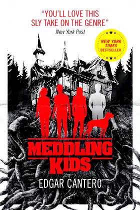 Meddling Kids poster
