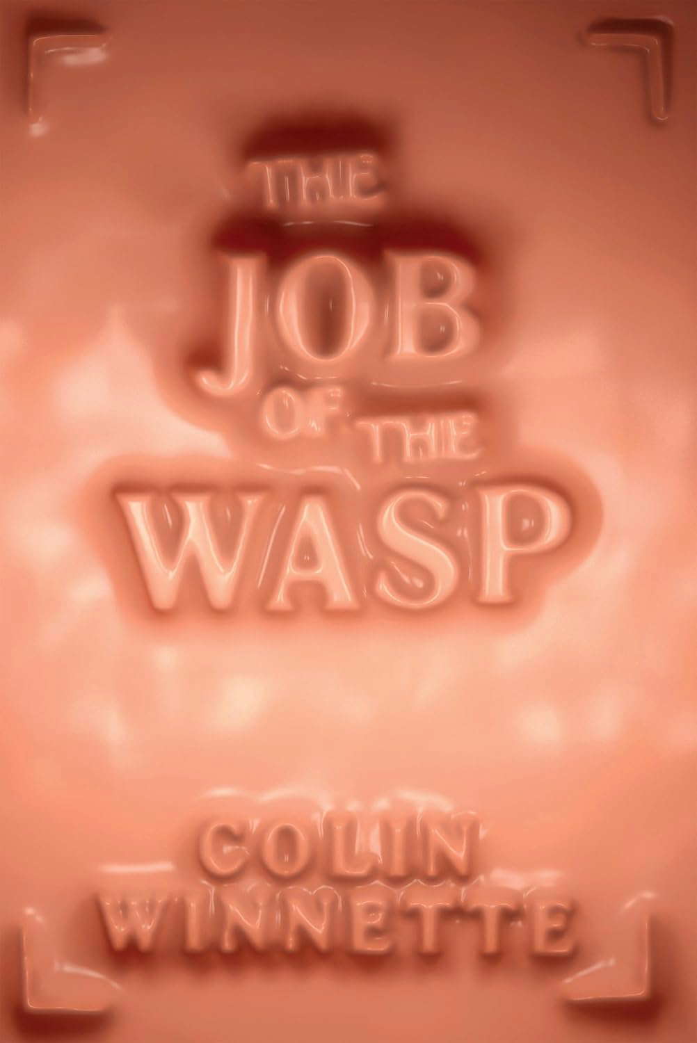 The Job of the Wasp: A Novel poster