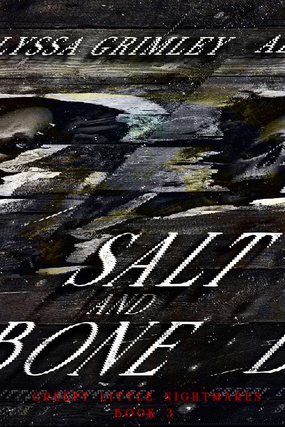 Salt and Bone: (Creepy Little Nightmares - Book #3) (All-Age Horror) poster