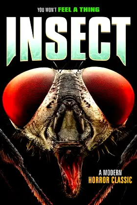Insect poster