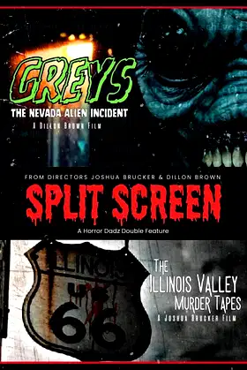 Split Screen poster