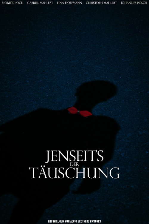 Jenseits der Täuschung poster