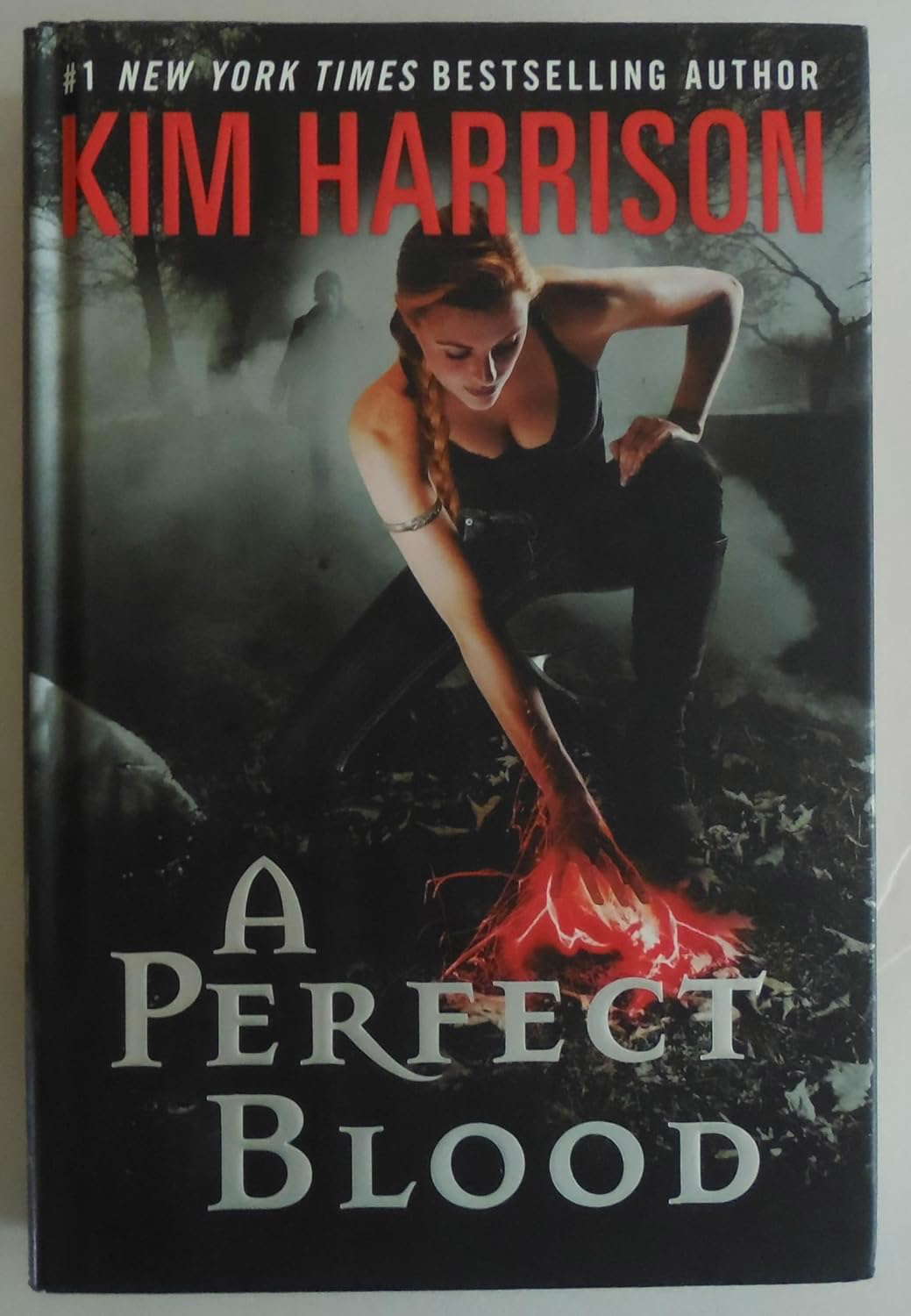 A Perfect Blood (The Hollows) poster
