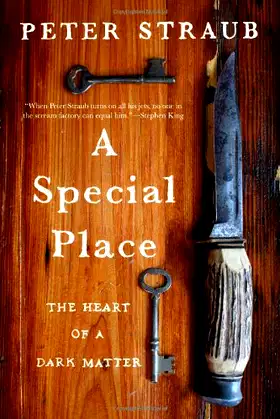 A Special Place: The Heart of a Dark Matter poster