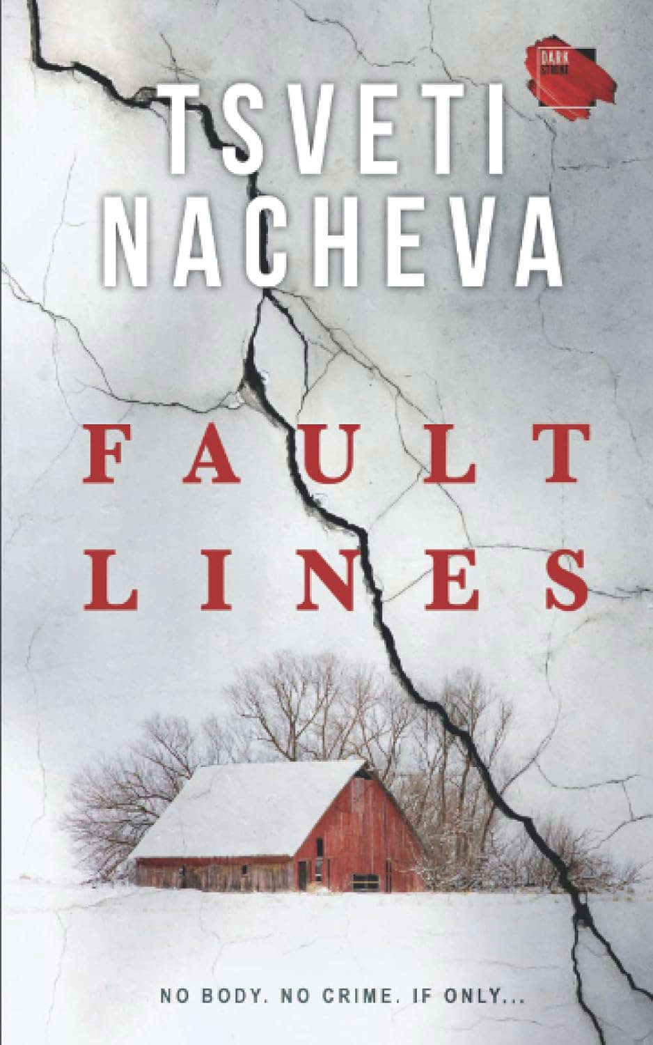 Fault Lines: A dark, twisty mystery poster