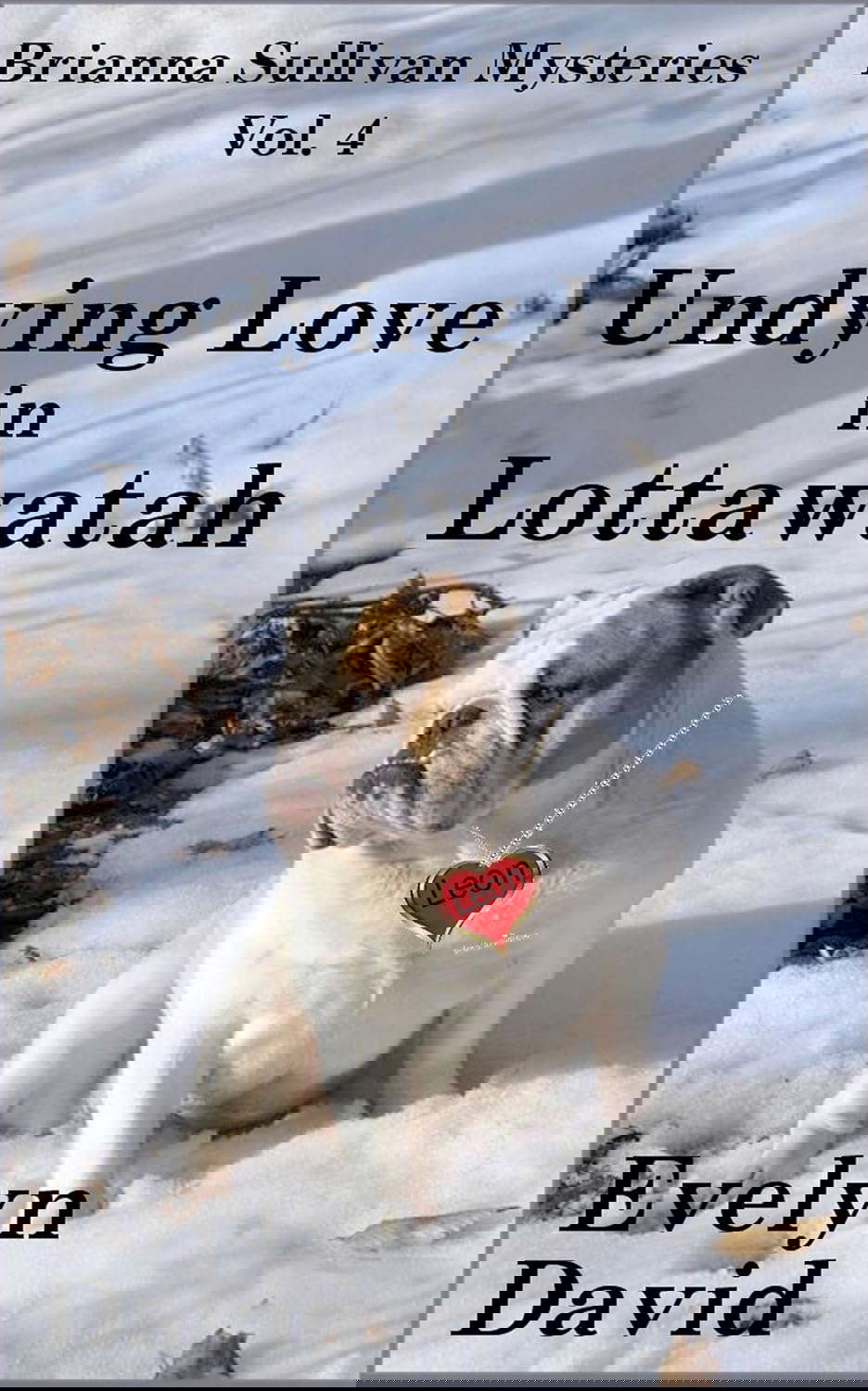 Undying Love in Lottawatah (Brianna Sullivan Mysteries Book 4) poster
