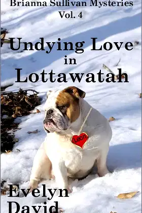 Undying Love in Lottawatah (Brianna Sullivan Mysteries Book 4) poster