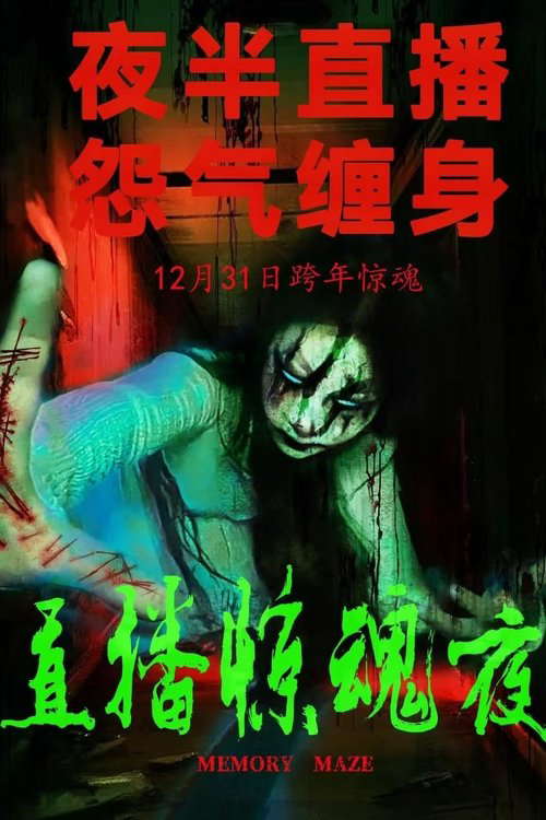 Memory Maze poster