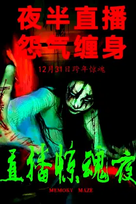 Memory Maze poster