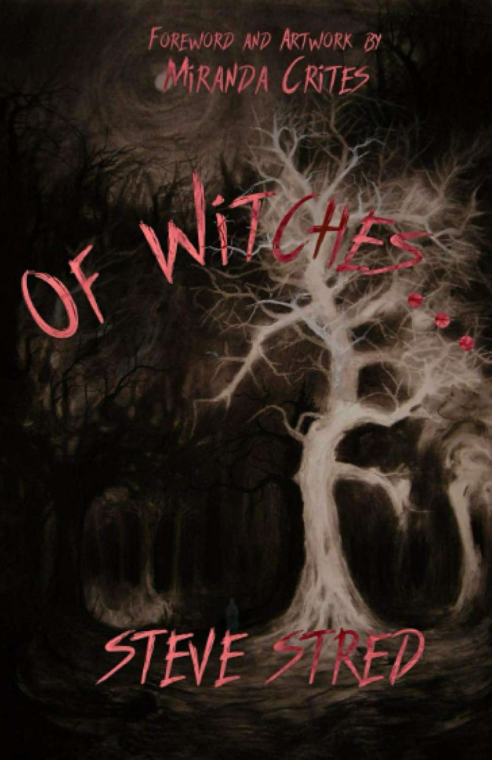 Of Witches... poster