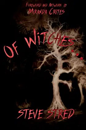 Of Witches... poster