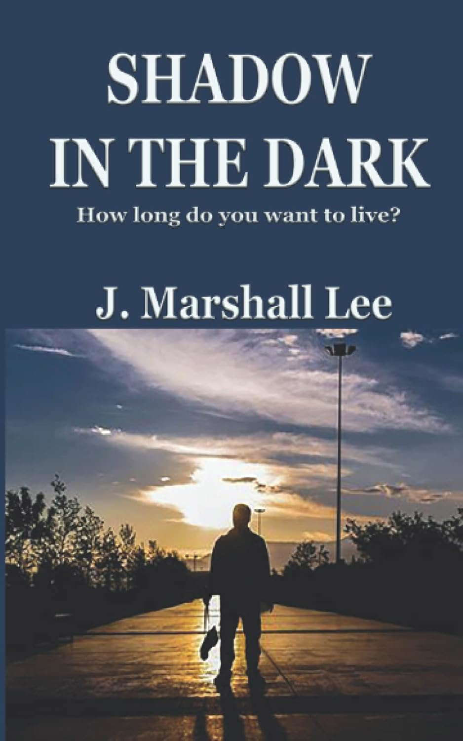 Shadow in the Dark: How long do you want to live? (The Salvino Chronicles) poster