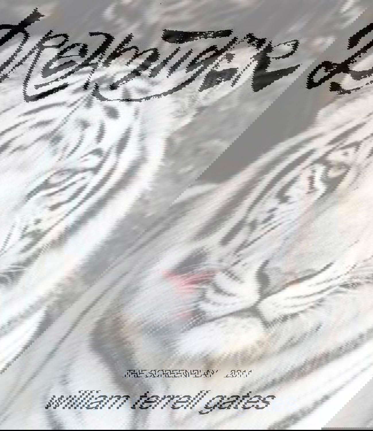DREAMTIGER poster
