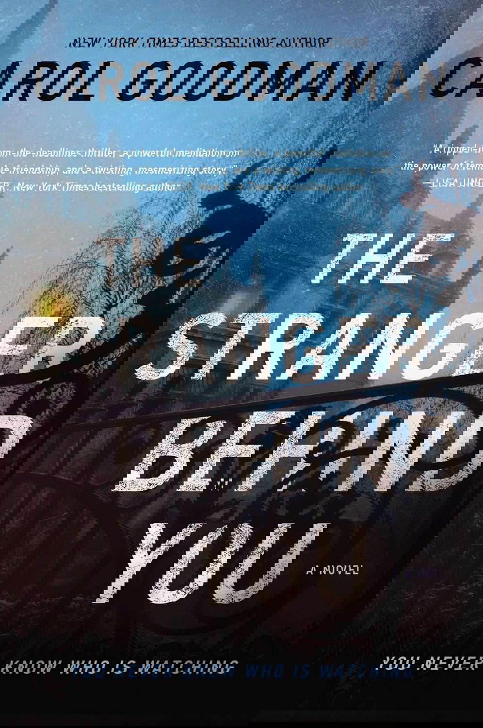 The Stranger Behind You: A Novel poster