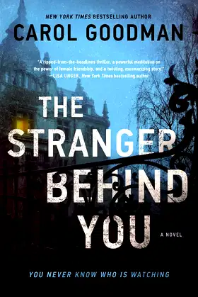 The Stranger Behind You: A Novel poster