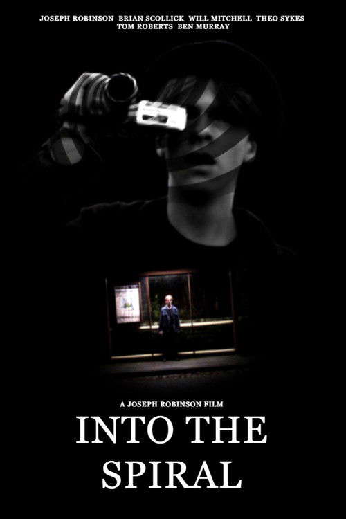 Into the Spiral poster