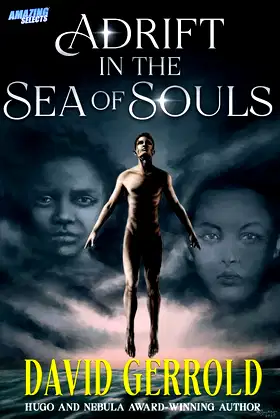 Adrift in the Sea of Souls poster