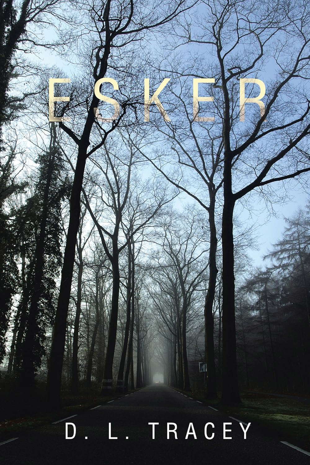 Esker poster