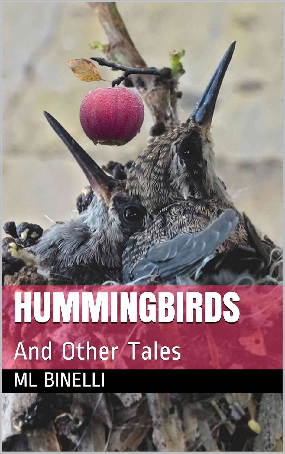 Hummingbirds And Other Tales poster