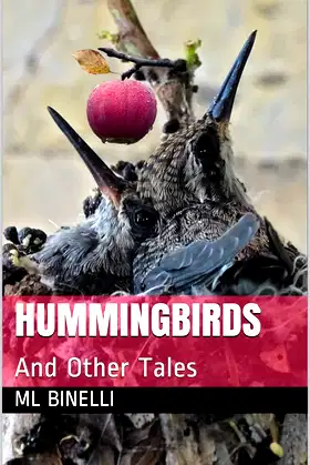 Hummingbirds And Other Tales poster