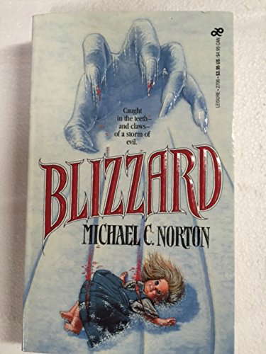Blizzard poster