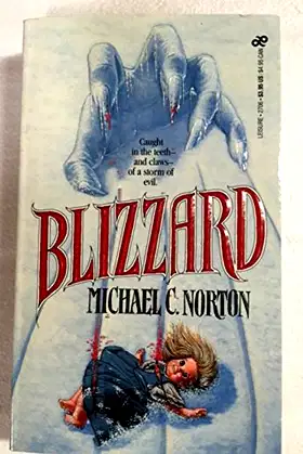 Blizzard poster
