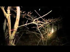R51   Found Footage Trailer poster